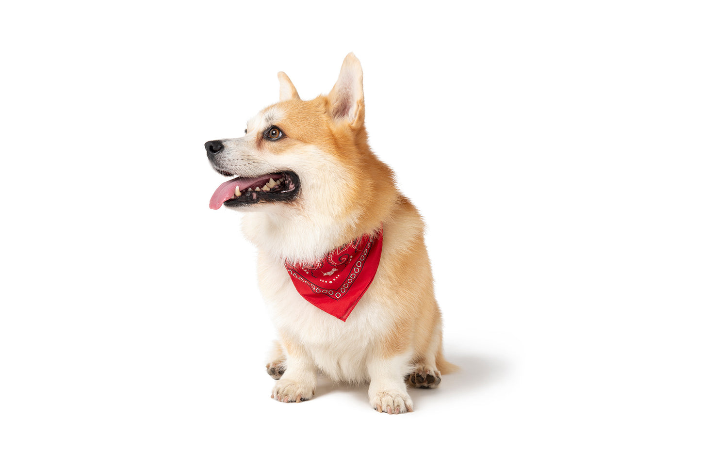 RED BANDANA