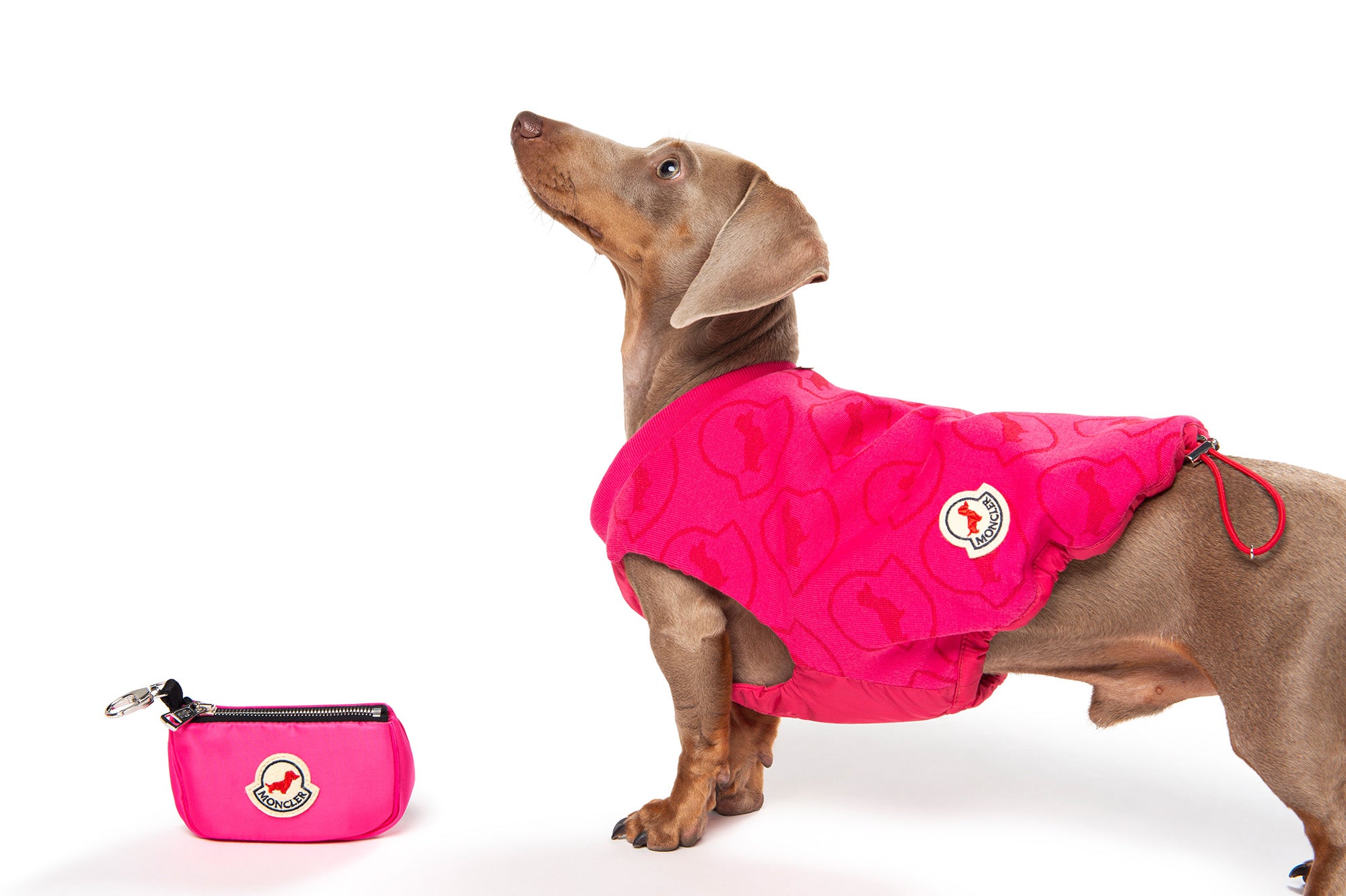 POLDO X MONCLER – Poldo Dog Couture