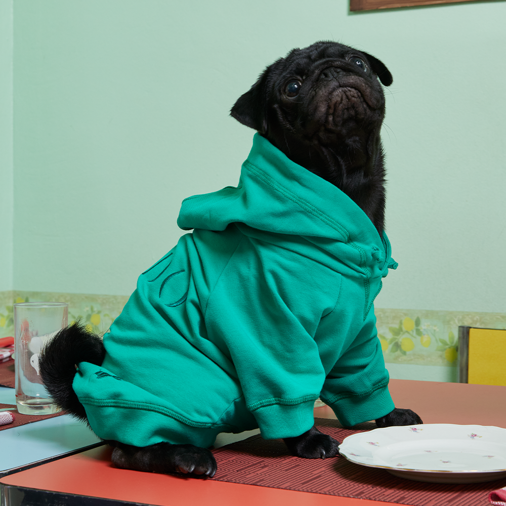 POLDO X RUBINACCI COLLAR – Poldo Dog Couture