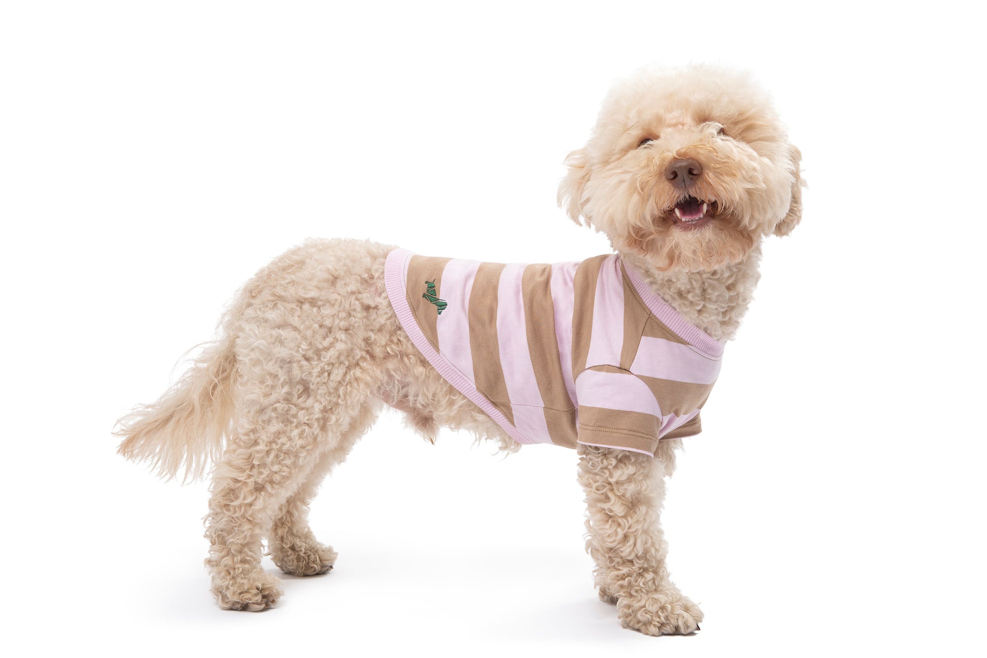 DOG CLOTHING – Poldo Dog Couture