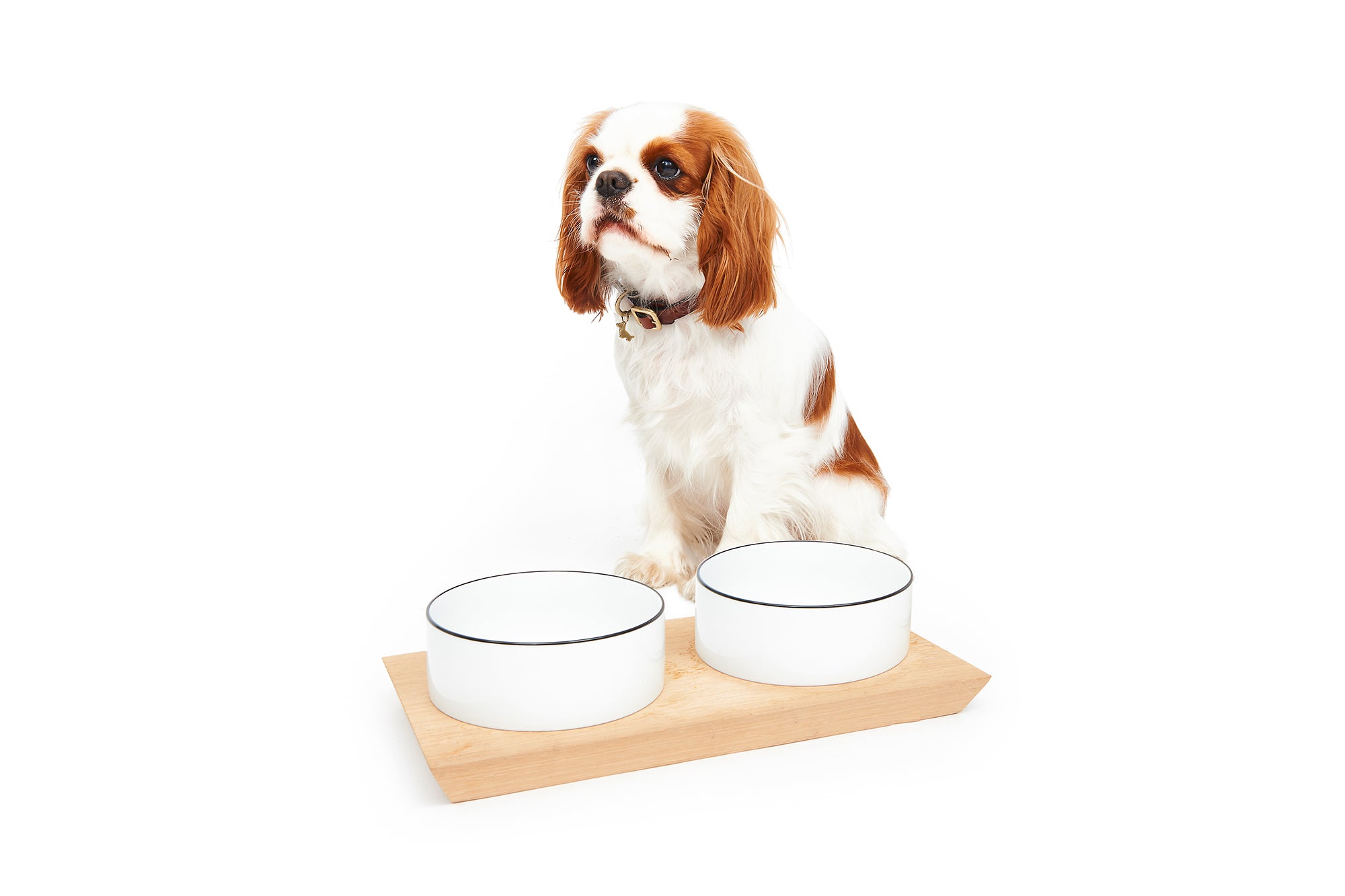 Cavalier water outlet bowl